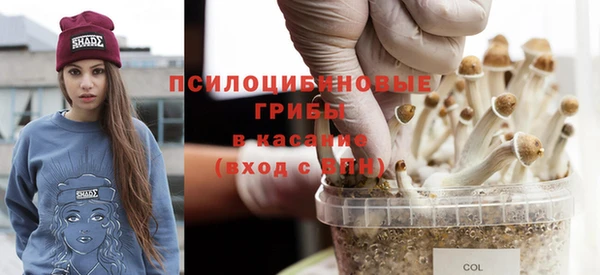 a pvp Касимов